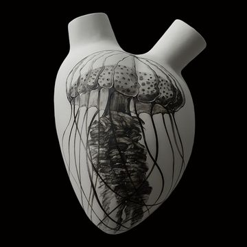 H- 67 JELLYFISH by Elica Studio