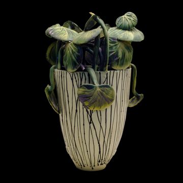 BEGONIAS by Elica Studio