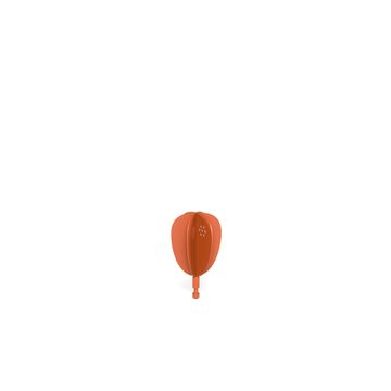 fruit / outside in Steel - Collection Ficus by Emu