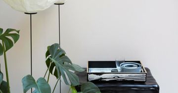 Wrongwoods Tray by Established and Sons