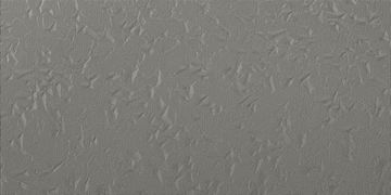 Tribute 100 Shark Fold by Fiandre Architectural Surfaces