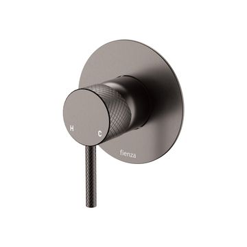 Axle Wall Mixer, Large Round Plate, Gun Metal by Fienza