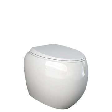 RAK Cloud Wall-Faced Toilet Suite, Alpine Gloss White by Fienza
