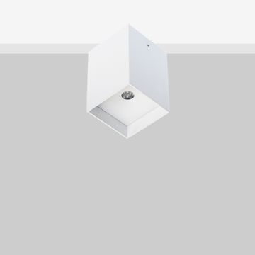 Arik 6 - Wall and celing mounted by Flexalighting