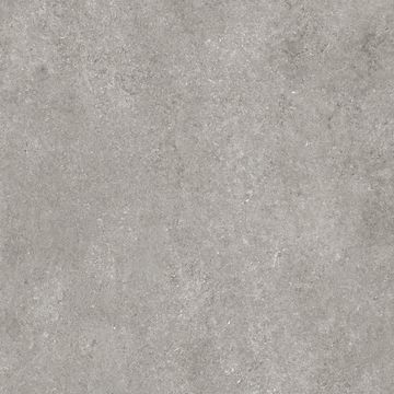 Sensi Grey Fossil by Florim