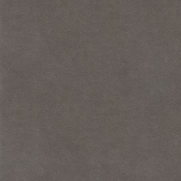 Earthtech Carbon_Ground by Florim
