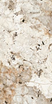 Colore Tundra B by Florim