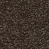 coral classic coffee by Forbo