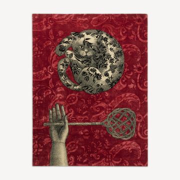 Rug Il Gattipanni by Fornasetti