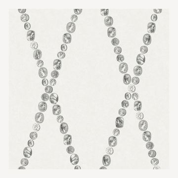 Wallpaper Cammei by Fornasetti
