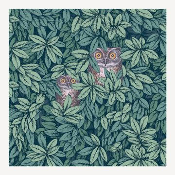 Wallpaper Foglie e Civette by Fornasetti