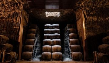 Viniculture Recipient, Elías López Montero by Gaggenau - view 2