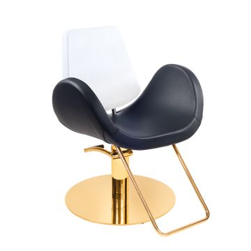 Salon Styling Chair Alipes Supergold by Gamma & Bross