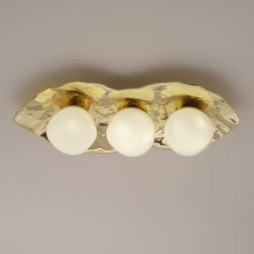 Shell Ceiling Light by GASPARE ASARO