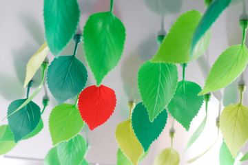 Leaves decoration magnets by Gispen