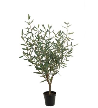 Olive Tree 1000 by Gotessons - view 2