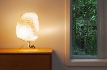 Ebey Table Lamp by Graypants - view 4