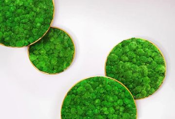 G-Circle by GREENMOOD