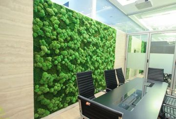 Green Wall - Ball Moss by GREENMOOD