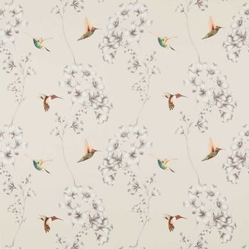 Amazilia Powder by Harlequin