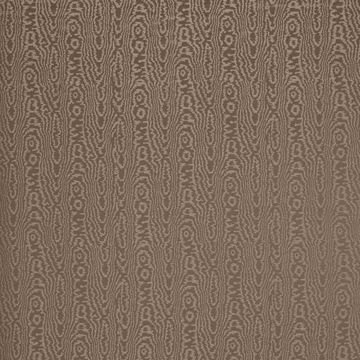 Elsworthy Bisque HAF0583-12 by Harlequin - view 6