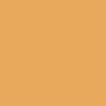 GAMBOGE Paint Pot 125ml - 13 by House of Hackney