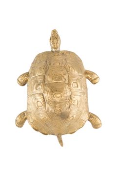 Fauna Thalassa - brass turtle knob by Il Bronzetto