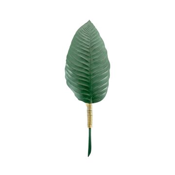 Hortus Heliconia leaf wall light by Il Bronzetto