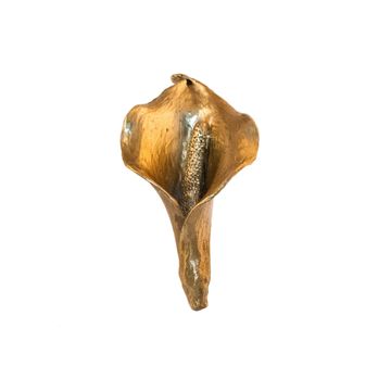 Flora Calla - flower brass knob by Il Bronzetto