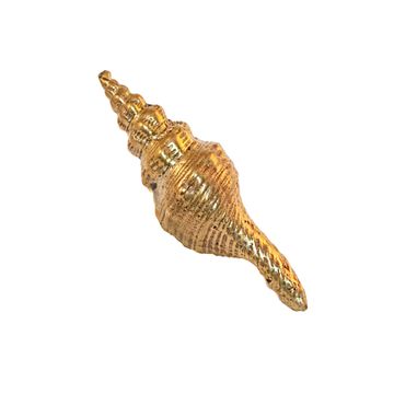 Oceano Tower - seashell brass knob by Il Bronzetto