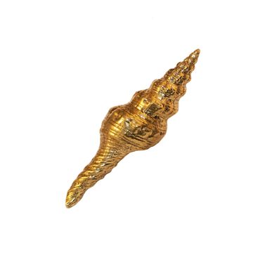 Oceano Spindle - seashell brass knob by Il Bronzetto