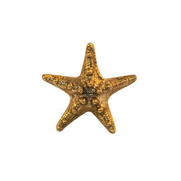 Oceano Marettimo - satarfish brass knob by Il Bronzetto