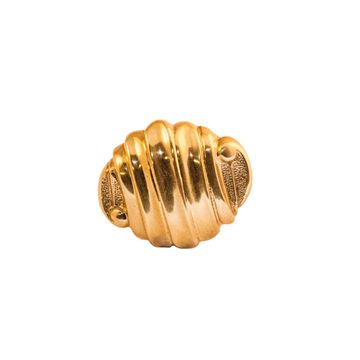 Oceano Bullia - seashell brass knob by Il Bronzetto