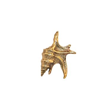 Oceano Palm Murex - seashell brass knob by Il Bronzetto