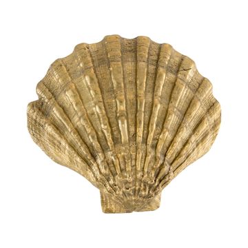 Oceano Pecten - seashell brass knob by Il Bronzetto