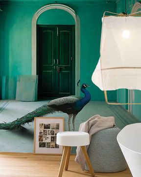 The queen room 2 by Inkiostro Bianco