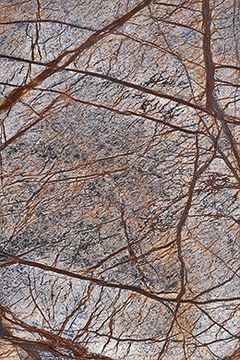 Brown Forrest by International Marmi