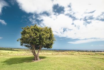 Ambiente e Benefici by Isovista