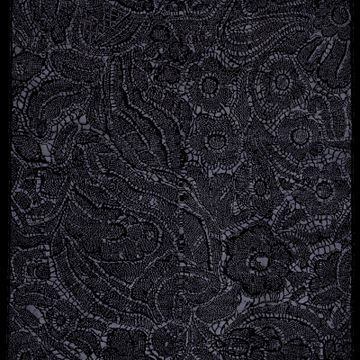 Lace by Jan Kath