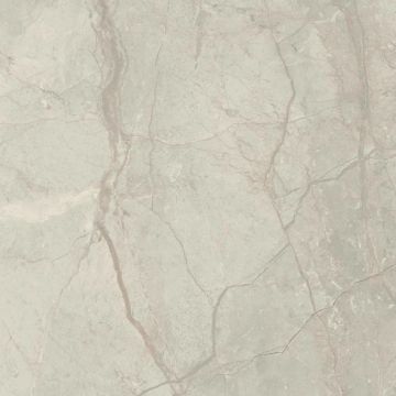 Silver River Polished Light Porcelain Tile 59X59 by Kale