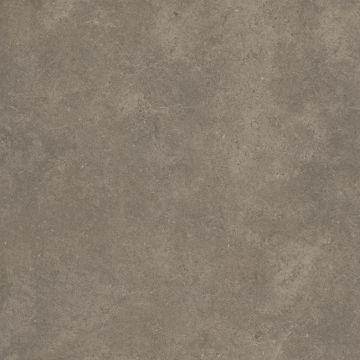 Cement 2.0 Matte Soil Porcelain Tile 59x59 by Kale