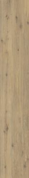 Hollywood Matte Beige Porcelain Slab 60x360 by Kale