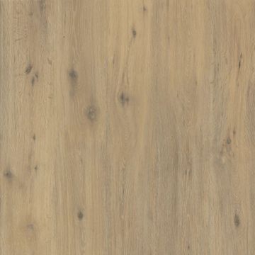 Hollywood Matte Beige Sinterflex Porcelain Tile 120x120 by Kale