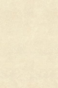 C-Stone Matte White Sinterflex Porcelain Tile 120x180 by Kale