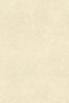 C-Stone Matte White Sinterflex Porcelain Tile 100x150 by Kale
