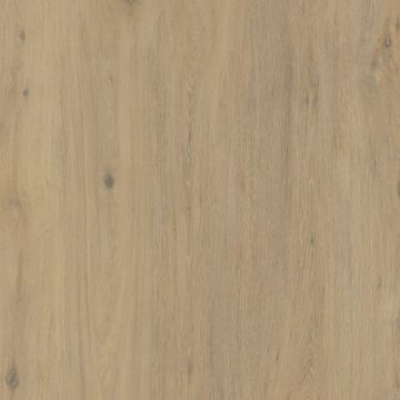 Hollywood Matte Beige Sinterflex Porcelain Tile 100x100 by Kale