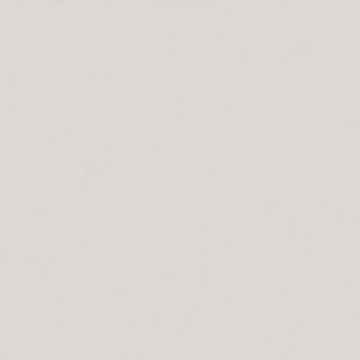 Intonaco Matte Light Grey Porcelain Tile 120x120 by Kale