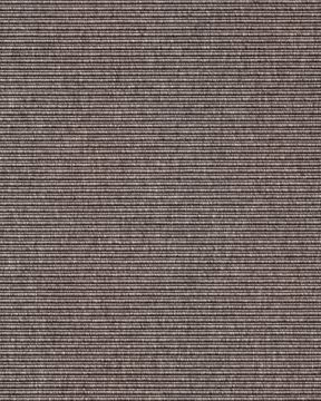 Beta R+ Pale Brown 280 by Kasthall