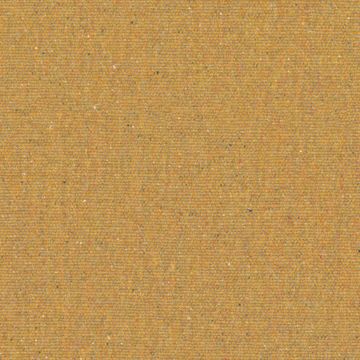 Buzz 004 Butternut by Knoll Textiles