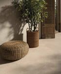 Cocoon by LaFaenza